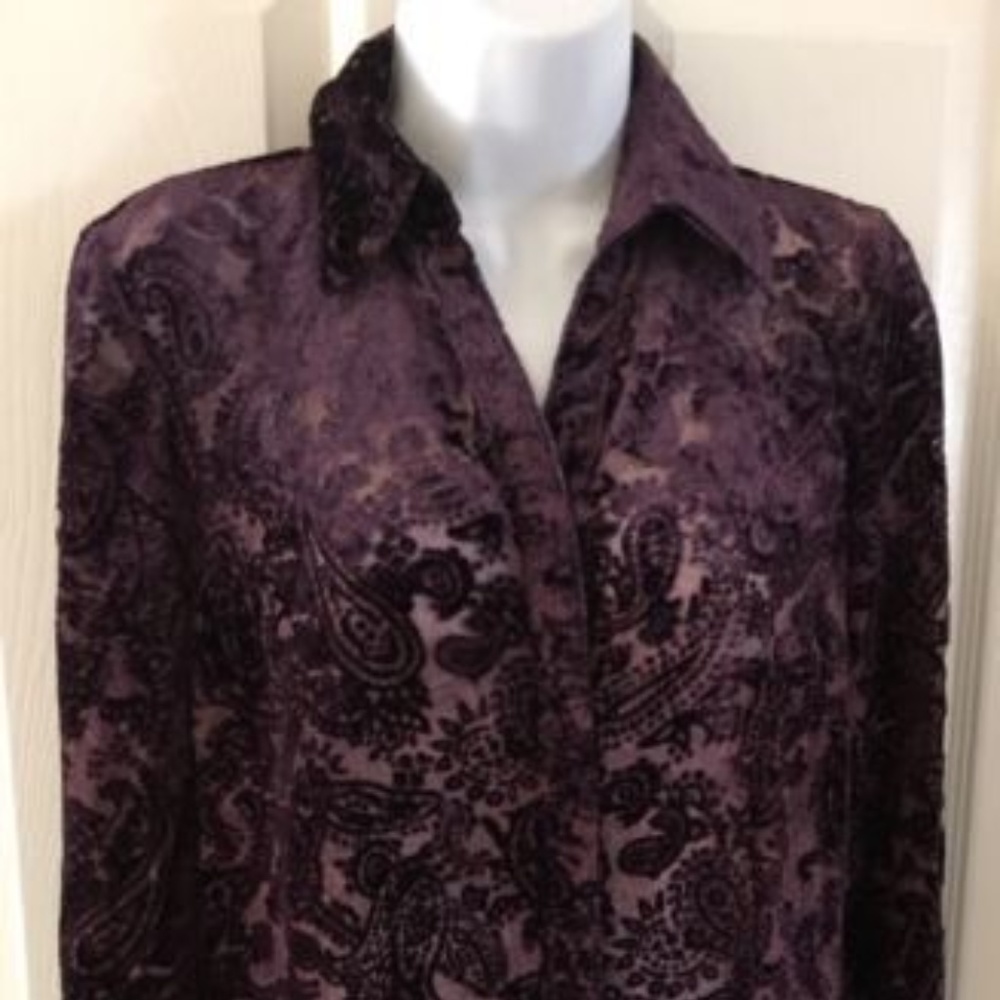 Coldwater Creek Burned Velvet Plum Blouse